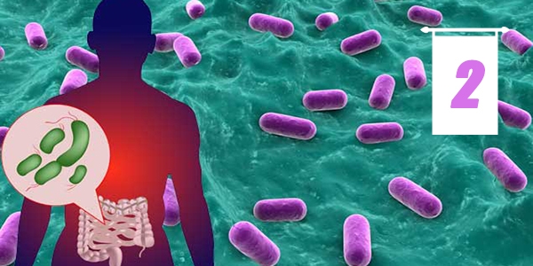 اثرات مفید پروبیوتیک ها (قسمت دوم)