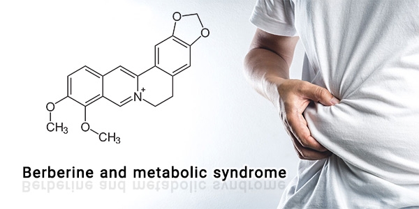 ترکیب طبیعی بربرین، درمانی بالقوه برای سندرم متابولیک