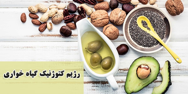 آیا گیاهخواران نیز می توانند رژیم کتوژنیک داشته باشند؟