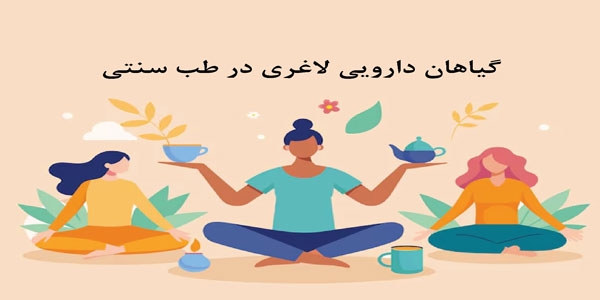 گیاهان دارویی لاغری در طب سنتی