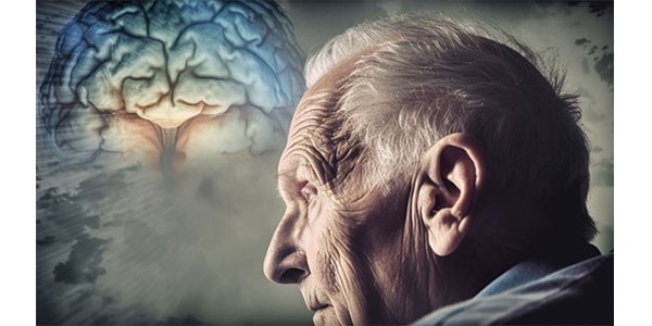 همه چیز درباره مکمل ان ای دی NAD