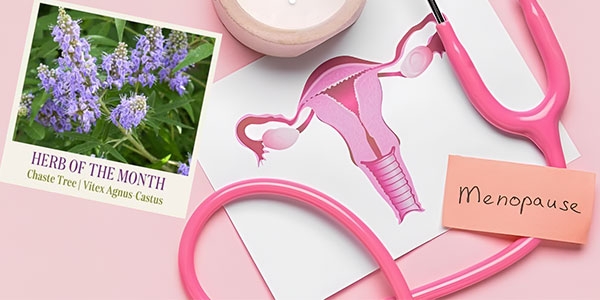 فواید قرص ویتاگنوس برای یائسگی