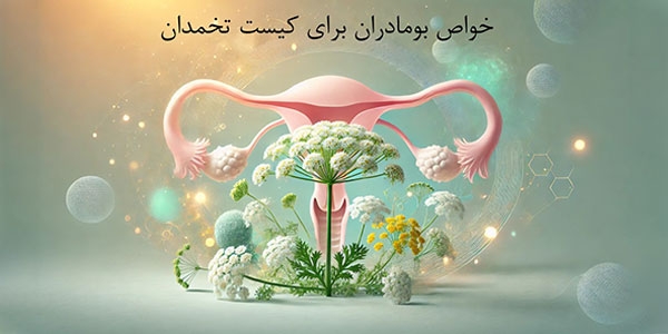 خواص بومادران برای کیست تخمدان