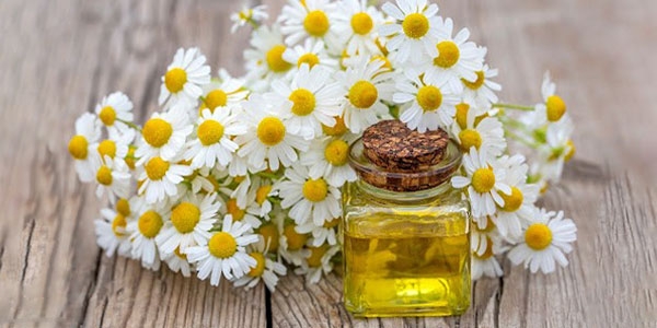 خواص بابونه برای پوست و مو