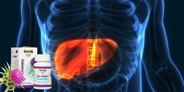 نحوه مصرف خار مریم برای کبد چرب