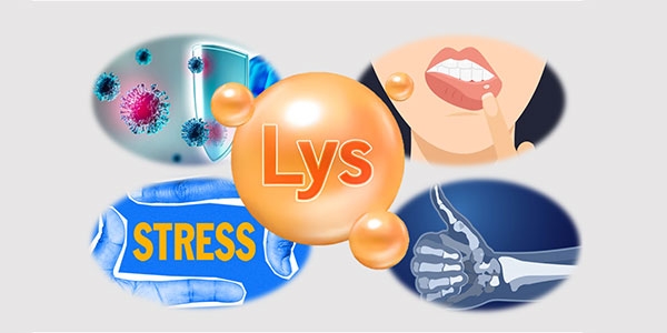 لیزین چیست و چه خواصی دارد؟