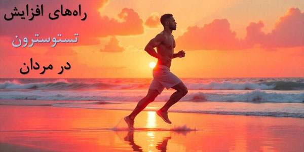 راه‌های افزایش تستوسترون در مردان