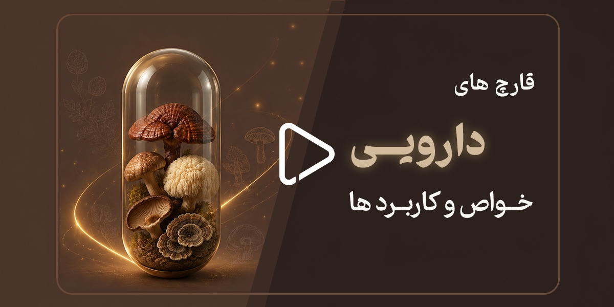 قارچ‌های دارویی؛ خواص و کاربردها