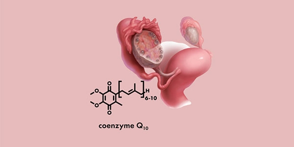 بهترین قرص کیوتن برای تنبلی تخمدان