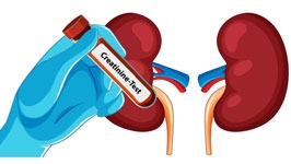 کراتینین چیست و چه عوارضی دارد؟