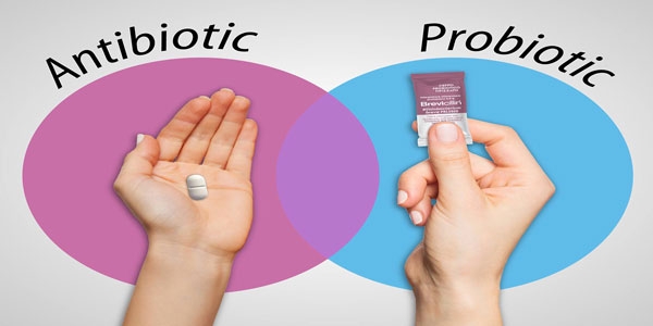 چرا نباید پروبیوتیک و آنتی بیوتیک را همزمان مصرف کرد؟