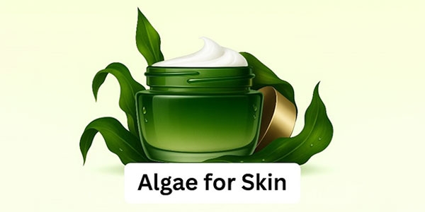 خواص جلبک برای پوست