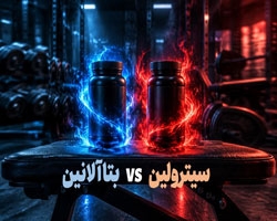 بتا آلانین یا سیترولین؛ کدام برای بدنسازی بهتر است؟
