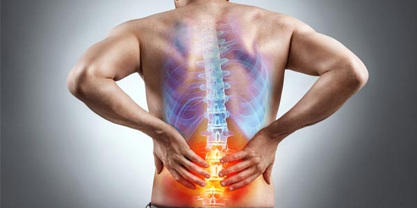 کاهش درد سیاتیک با گیاهان دارویی