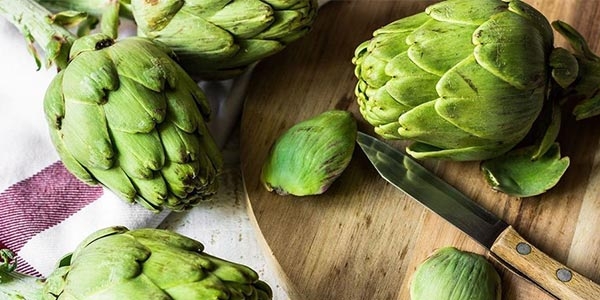 گیاه کنگر فرنگی با نام علمی L.Cynara scolymus