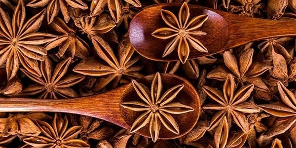 گیاه انیسون(بادیان رومی)با نام علمی Pimpinella anisum L