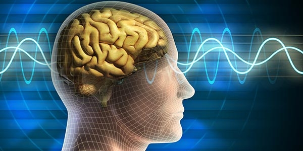 رپورتاژ- راهکارهایی برای تقویت حافظه