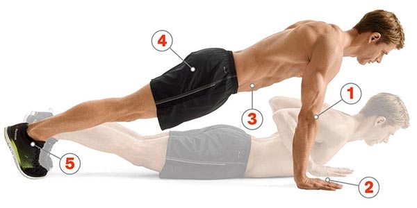 انواع حرکت های شنا