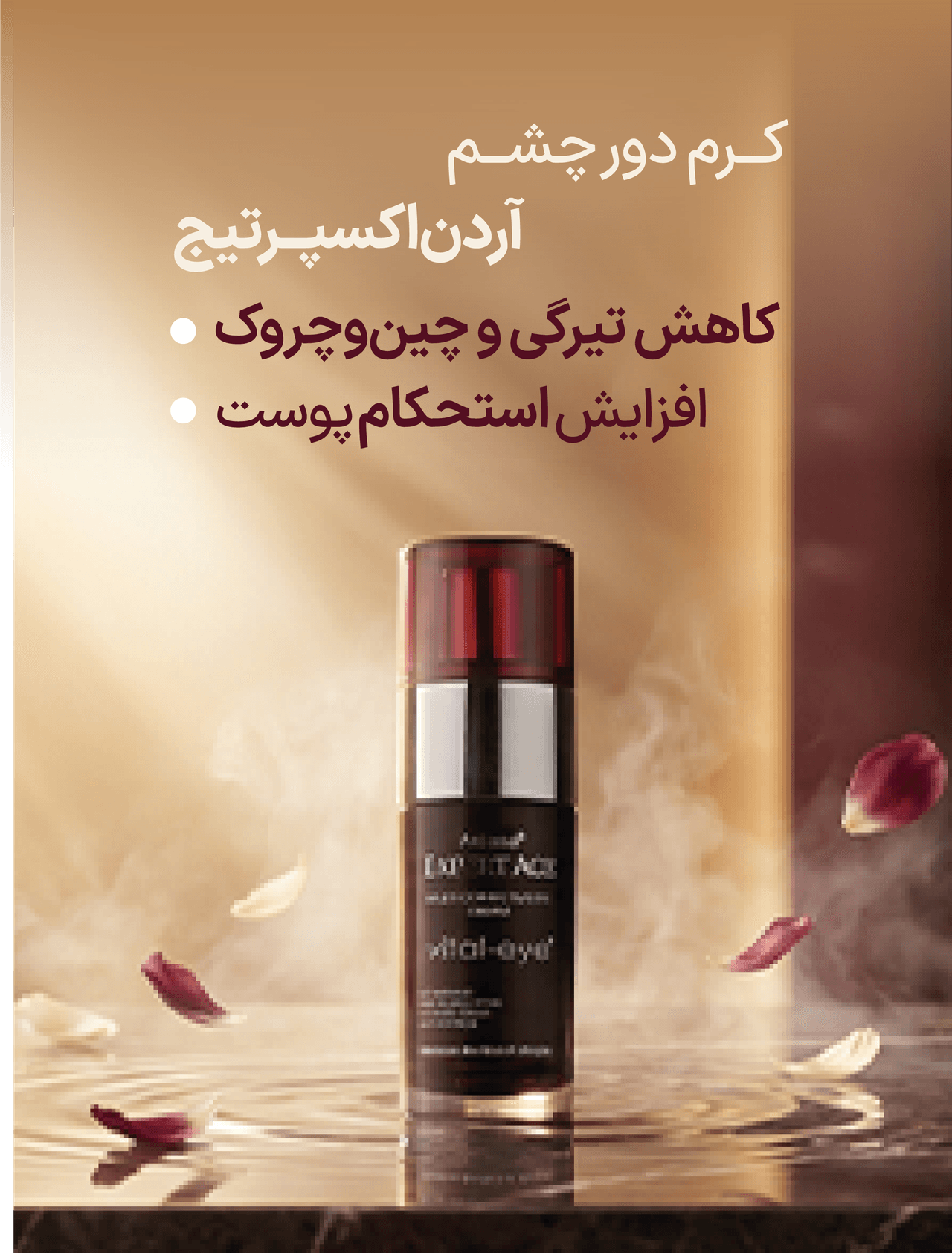 advertisment4