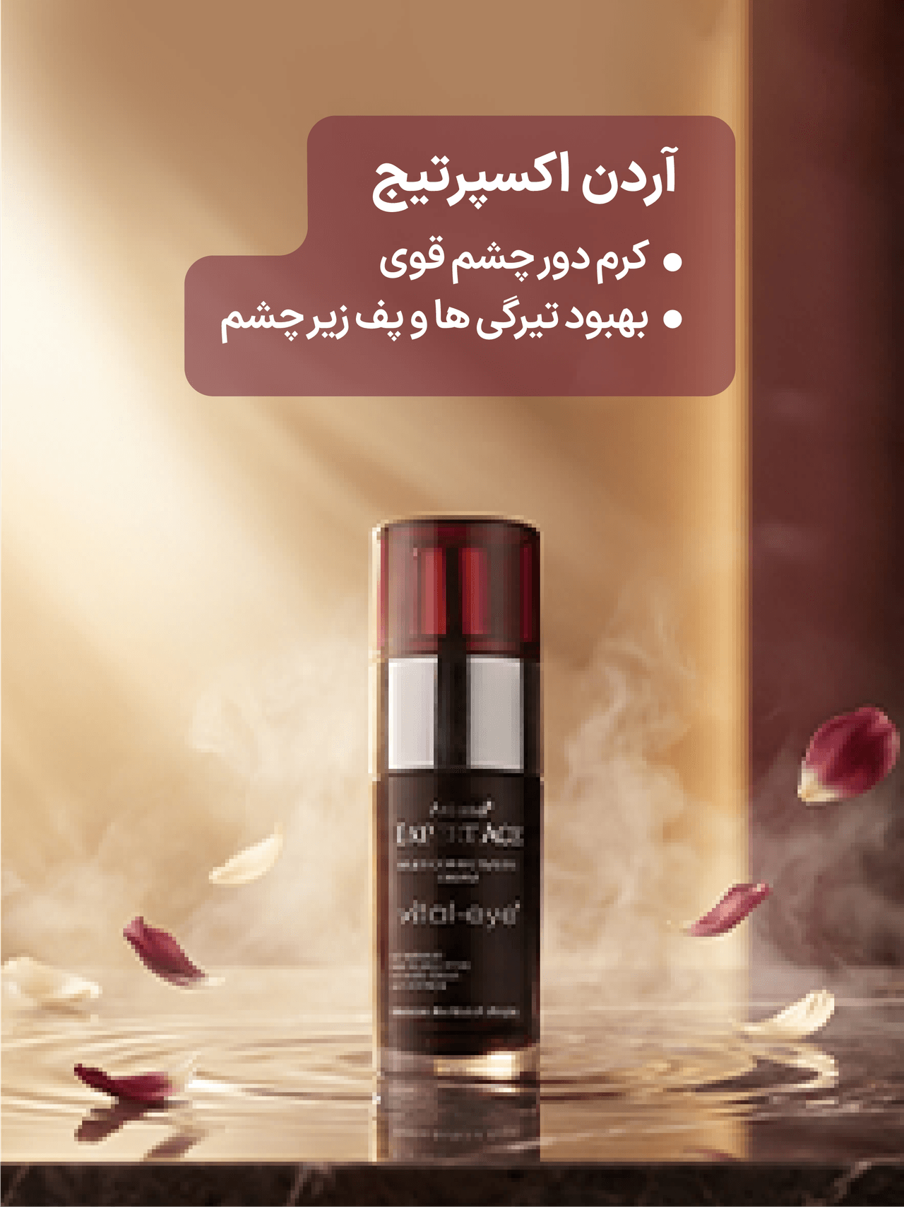 advertisment4