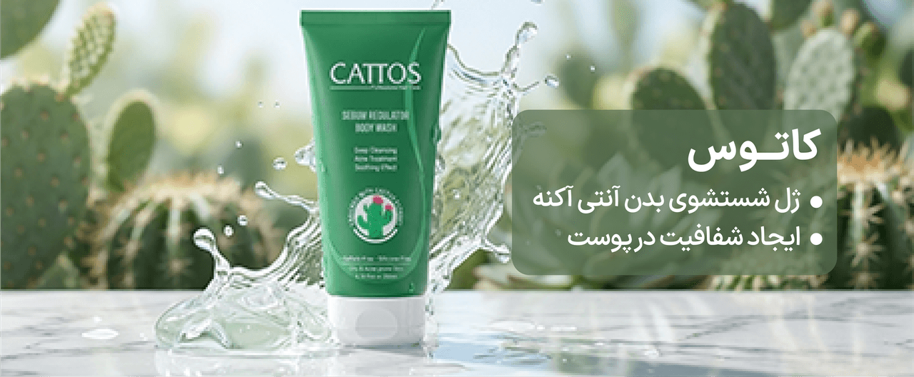 advertisment1