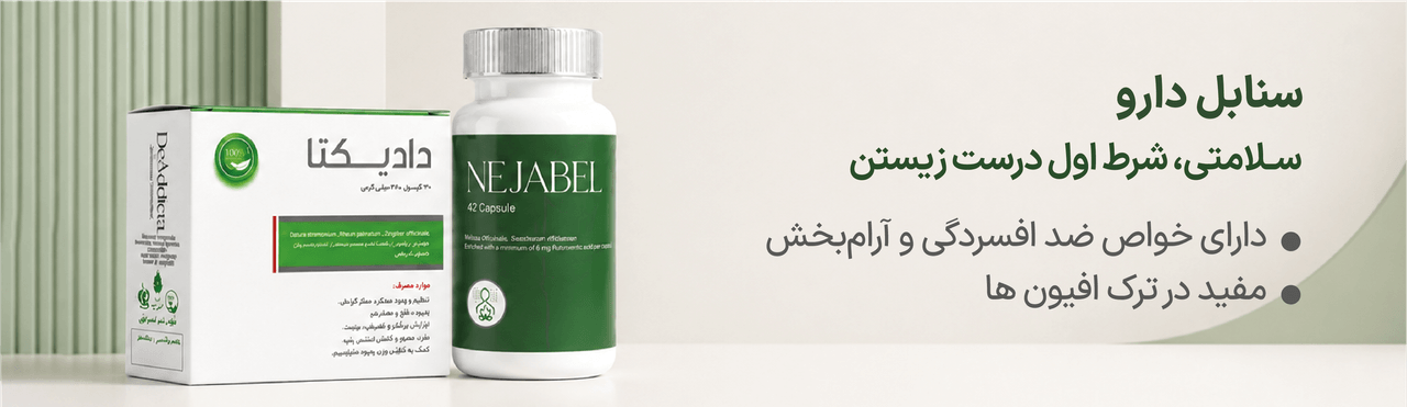 advertisment2