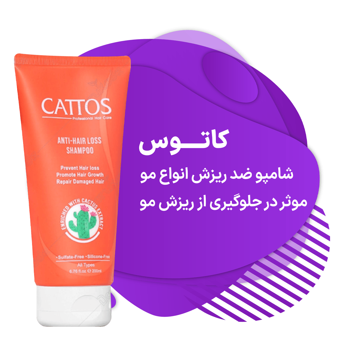 advertisment2