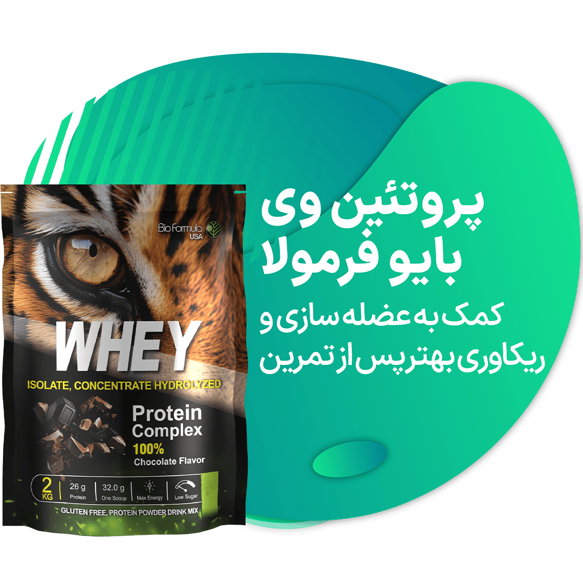 advertisment4
