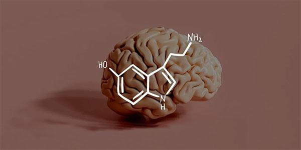 سروتونین چیست؟