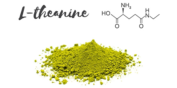 ال تئانین، ترکیبی موثر برای دستیابی به آرامش، سلامت و موفقیت